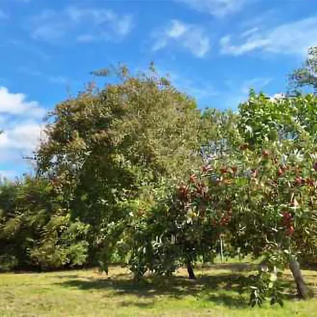 Beautiful In בית נופש *